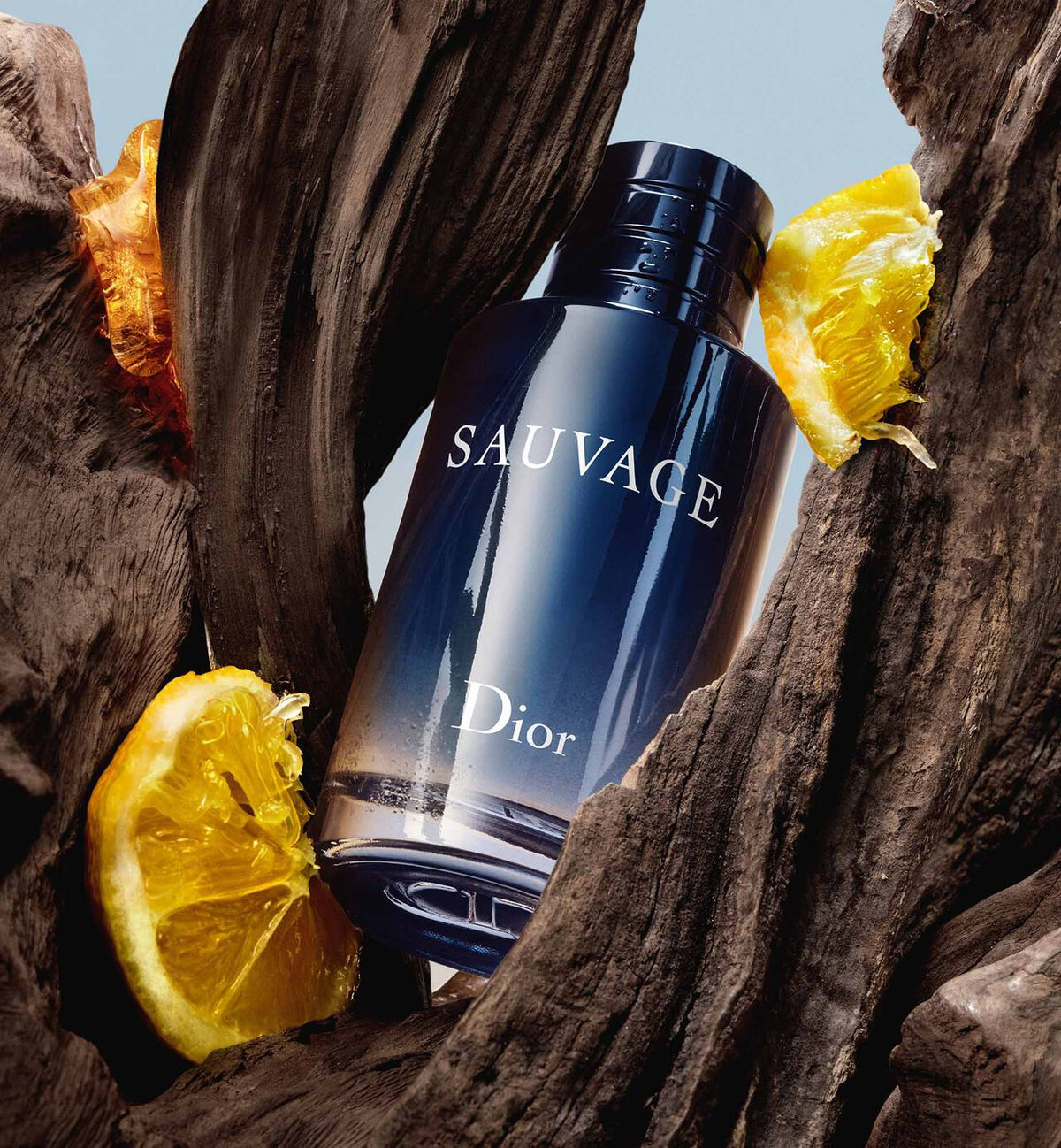 Dior Sauvage EDP 100 ml Sauvage Perfume Long