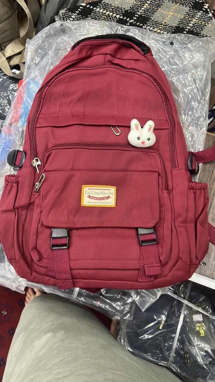 Korean Style School & College Backpack |