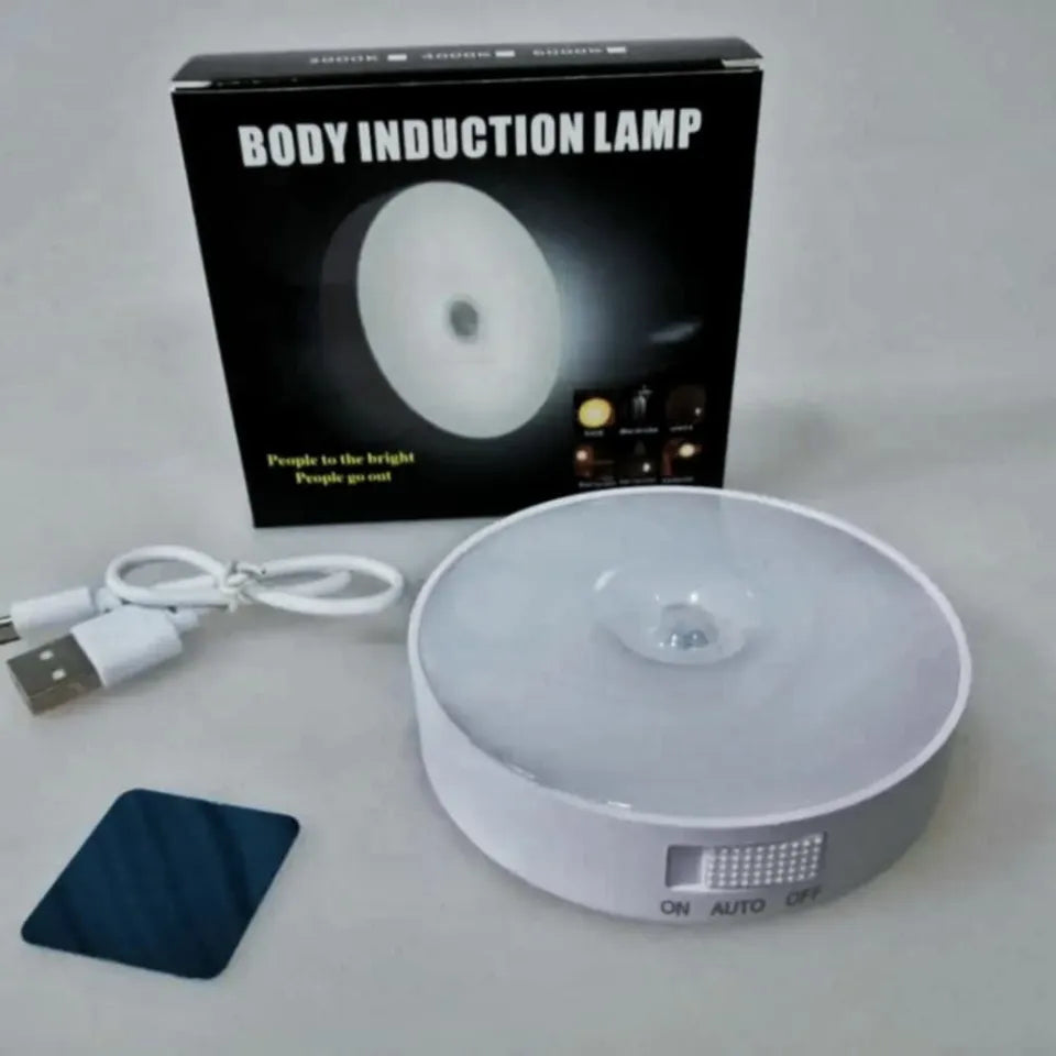 Intelligent Induction LED Sensor Light Rechargeable