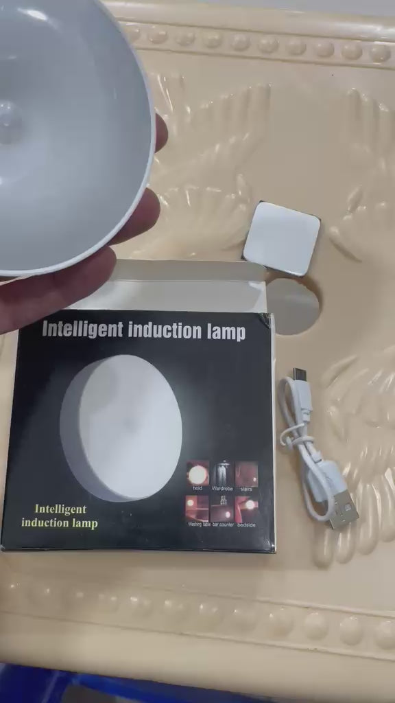 Intelligent Induction LED Sensor Light Rechargeable